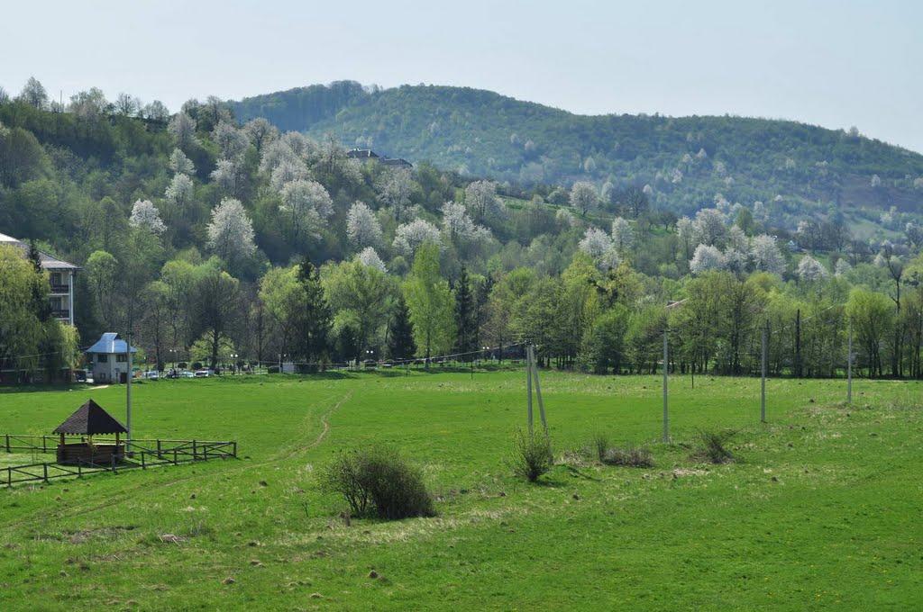 Свалява з panoramio.com - Свалява