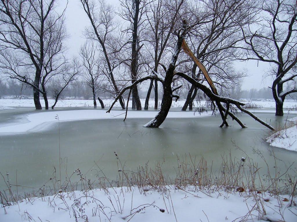Слов'яносербськ з panoramio.com - Слов'яносербськ