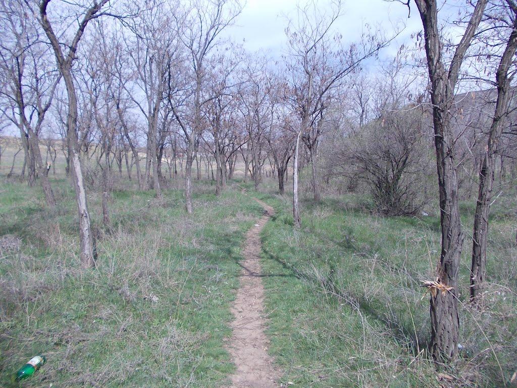Краснодон з panoramio.com (ч.2) - Краснодон
