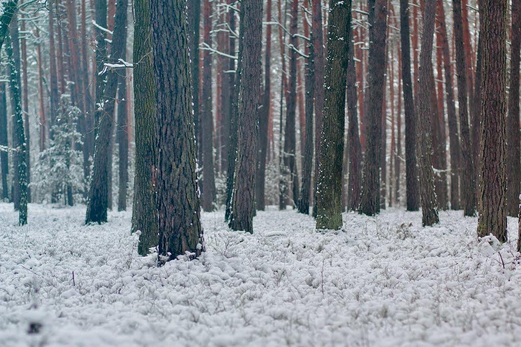 Ківерці з panoramio.com - Киверцы