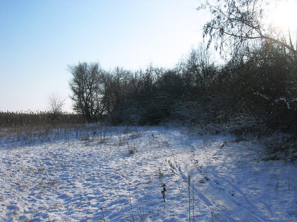 Новий Шлях з panoramio.com - Новий Шлях