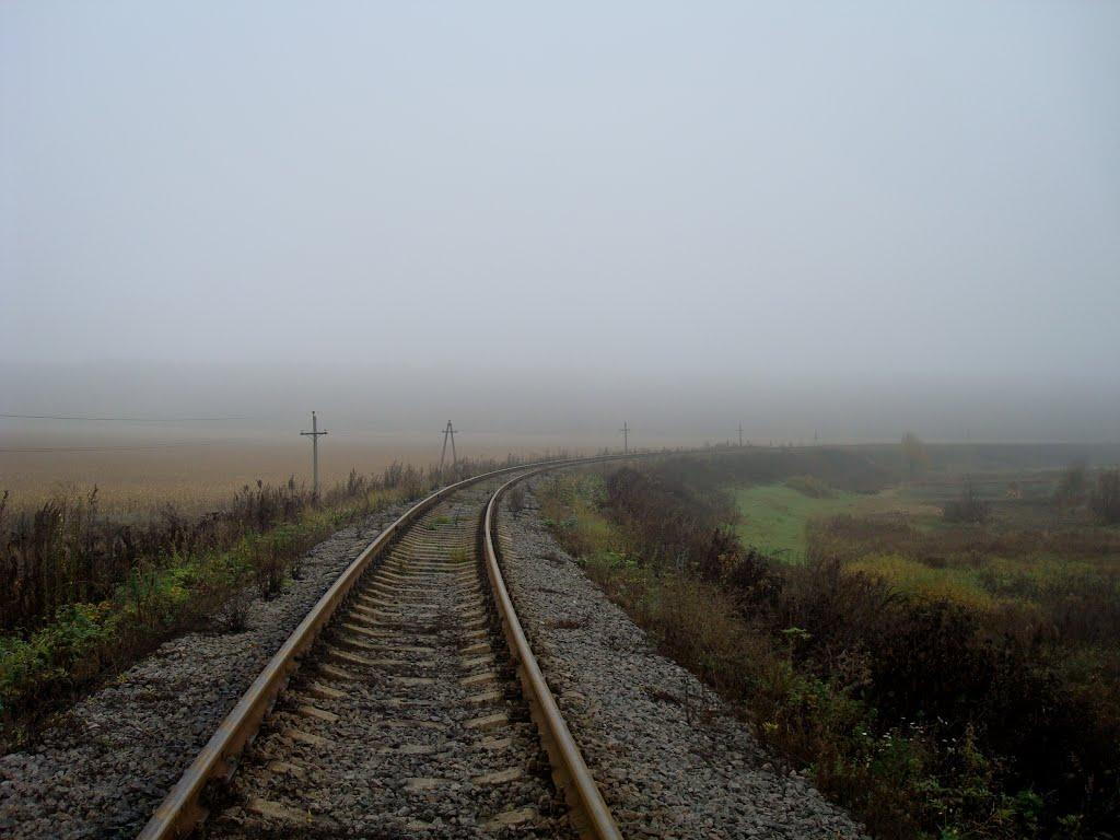 Вільхівці з panoramio.com - Вільхівці