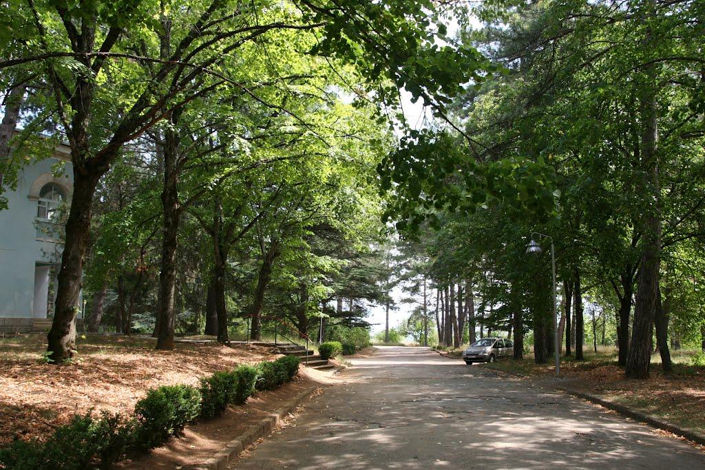 Научний з panoramio.com - Научний