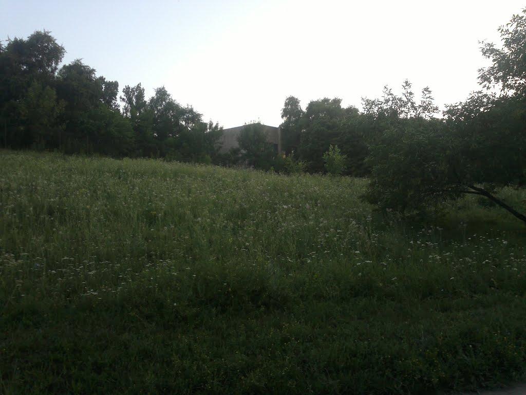 Алчевськ з panoramio.com (ч.2) - Алчевск