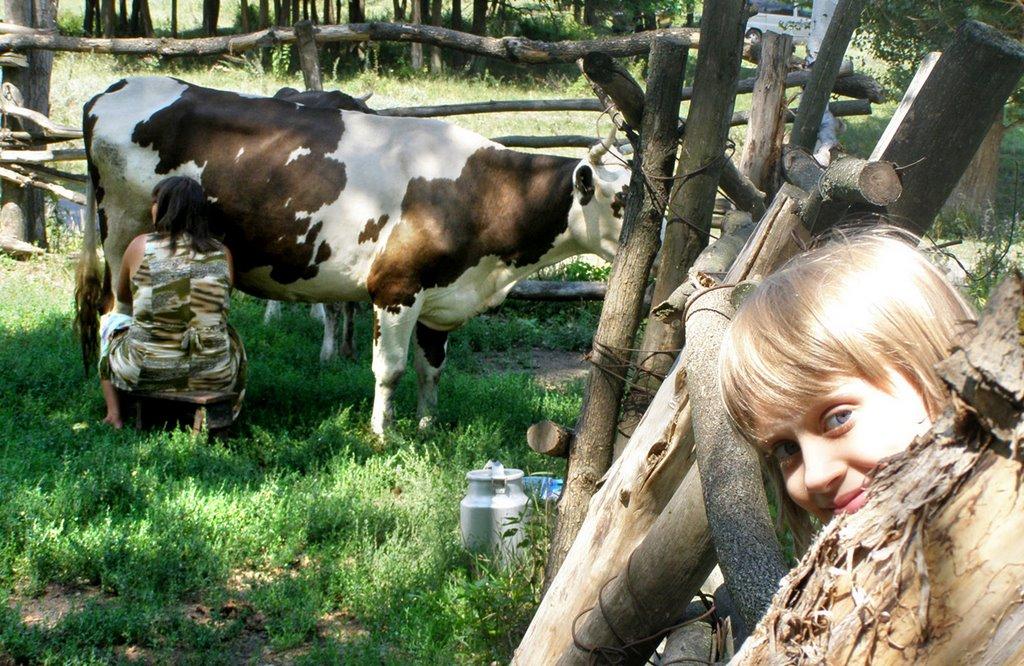 Лиман з panoramio.com - Лиман