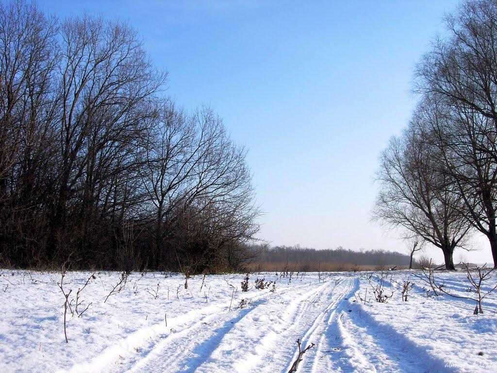 Веселе з panoramio.com - Веселое