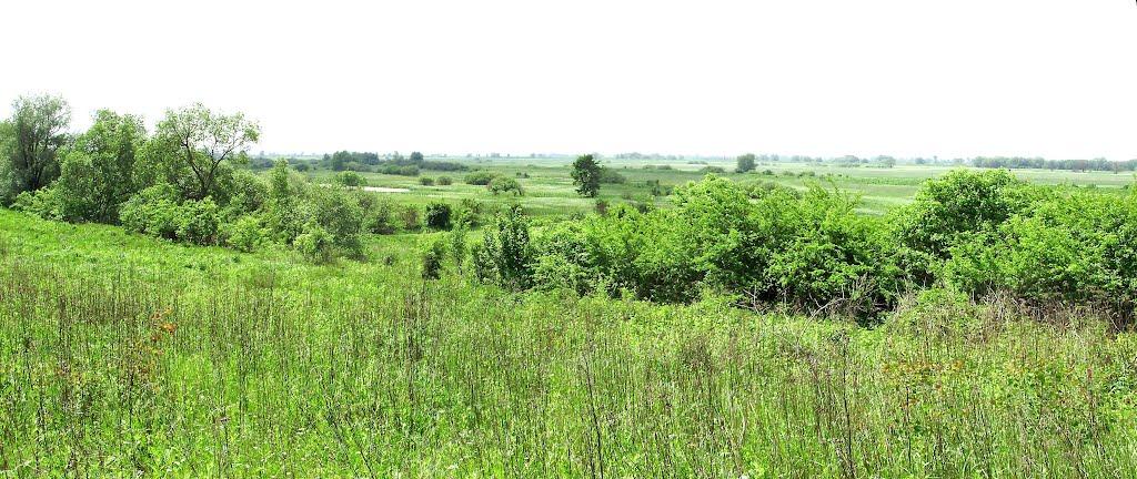 Липиці з panoramio.com - Липиці