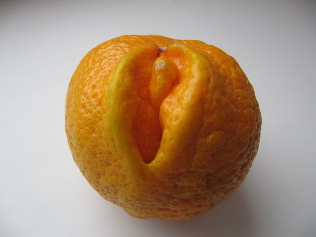 Куп'янськ-Вузловий з panoramio.com - Kupyansk-Vuzlovyy