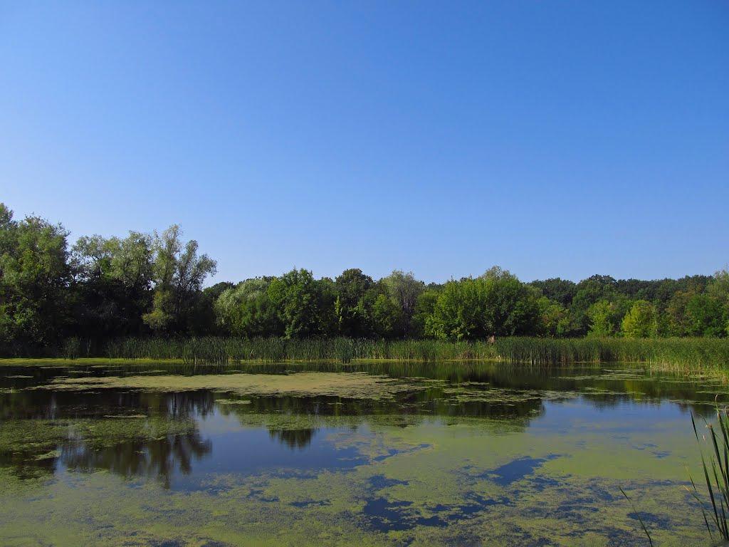 Райгородок з panoramio.com - Райгородок