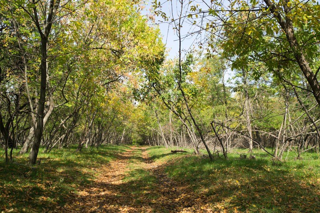 Тернувате з panoramio.com - Тернувате