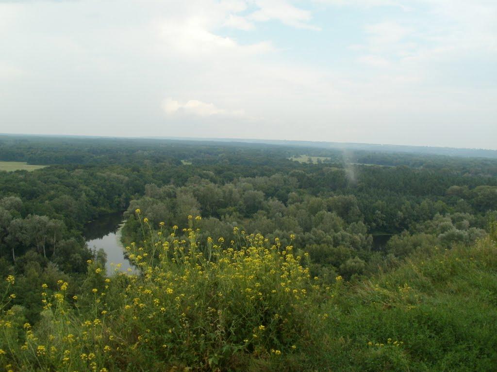 Яреськи з panoramio.com - Яреськи