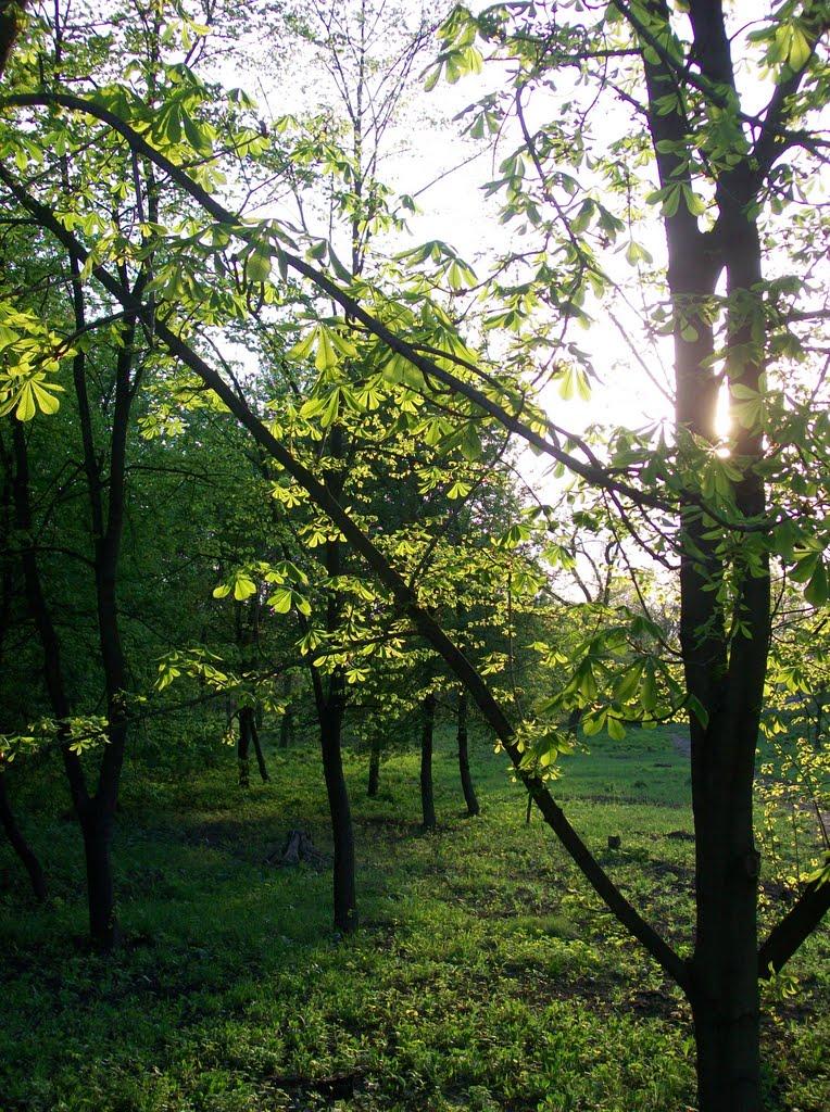 Дружківка з panoramio.com - Дружківка