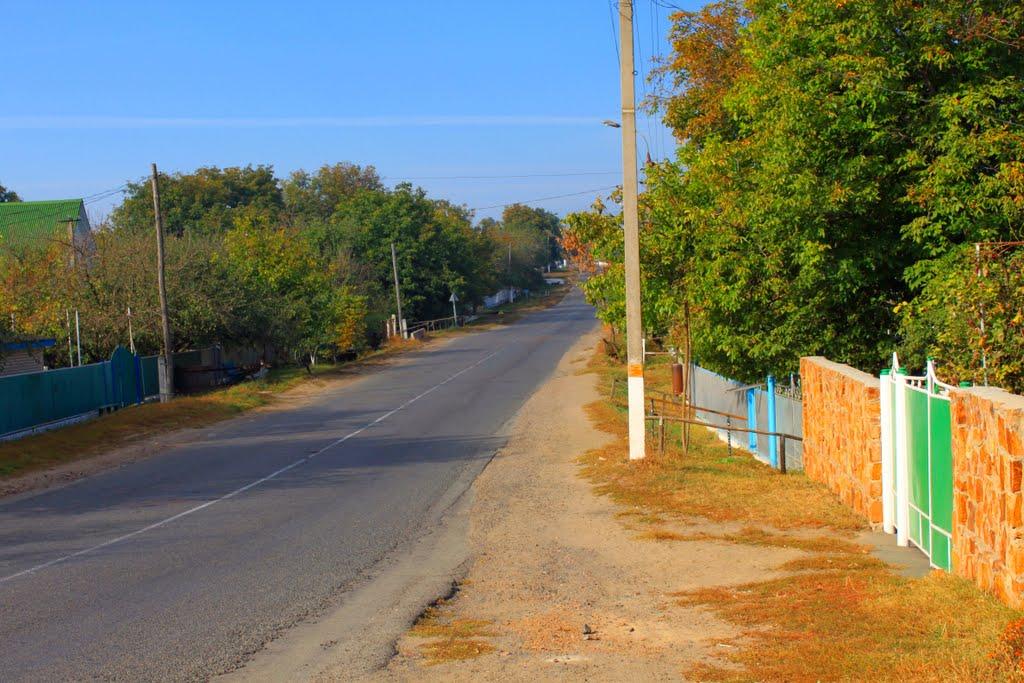 Устя з panoramio.com - Устя