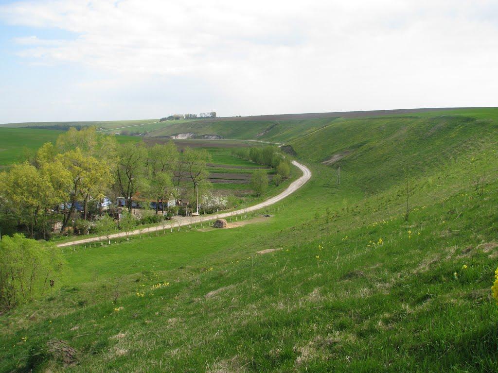 Ценів з panoramio.com - Ценів