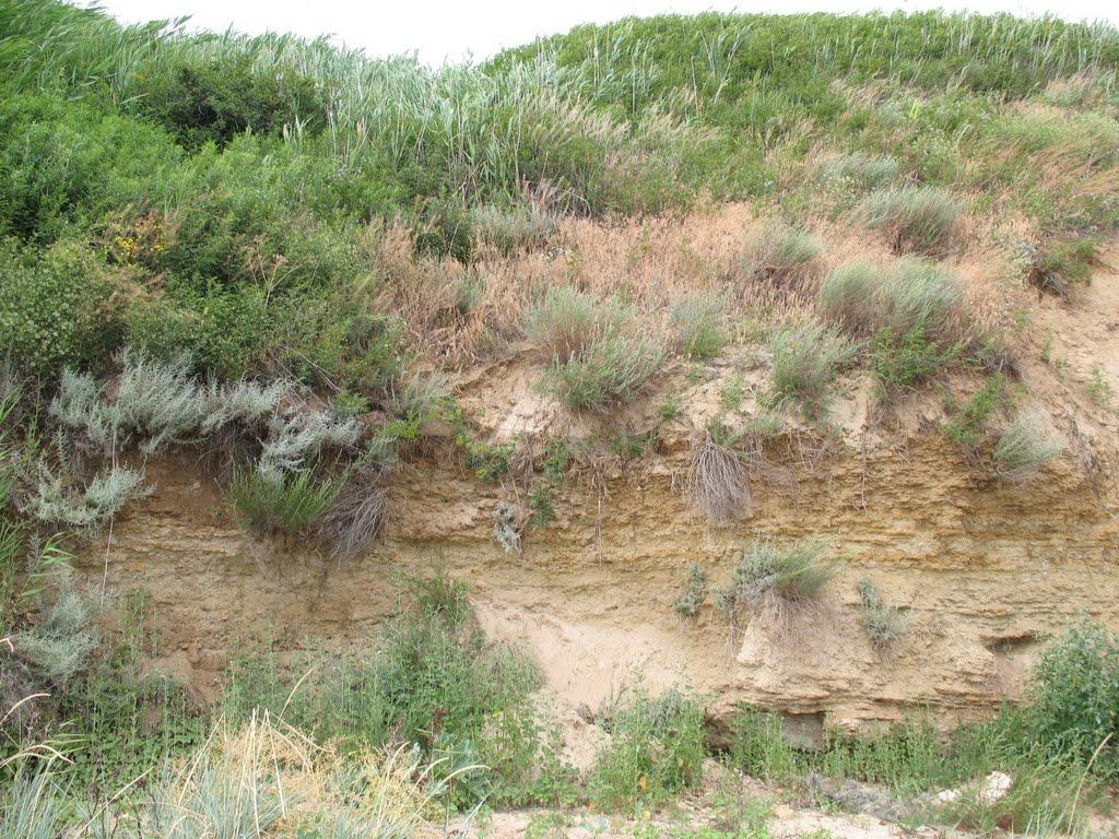 Саханка з panoramio.com - Саханка