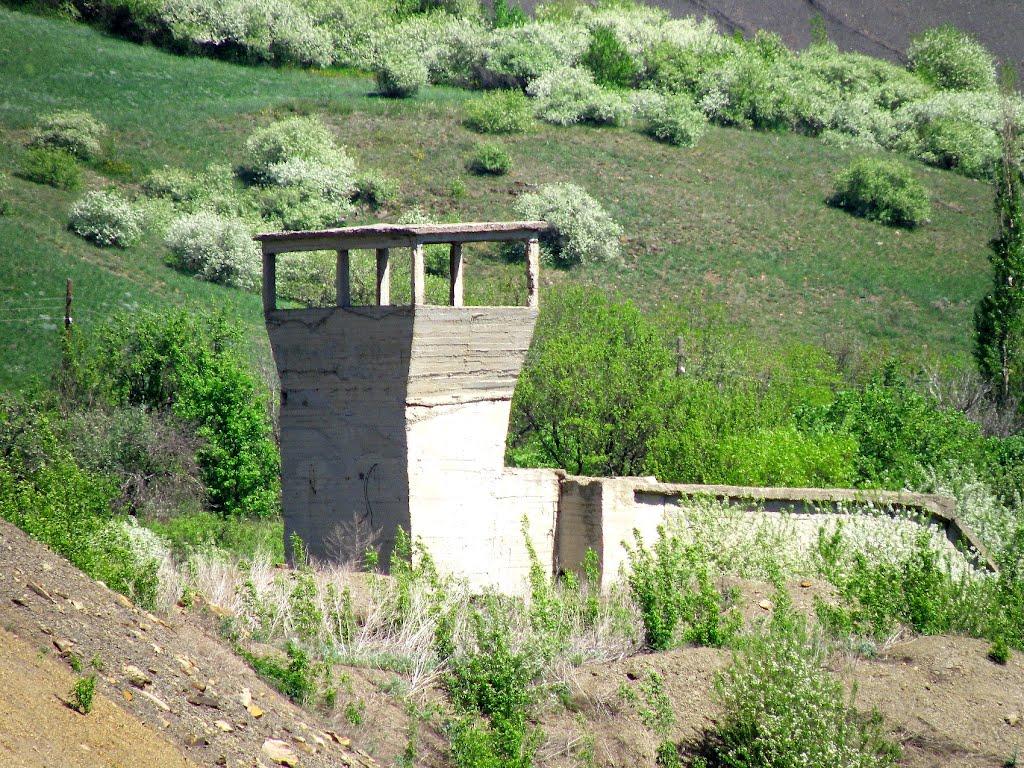 Селезнівка з panoramio.com - Селезневка