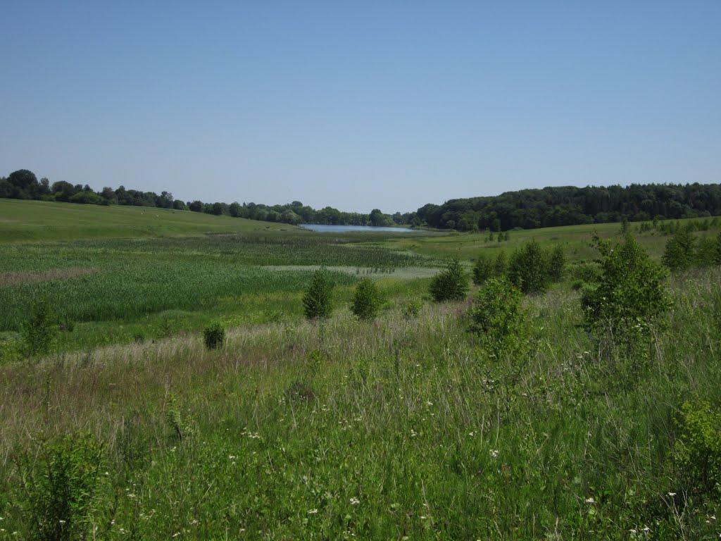 Киселі з panoramio.com - Киселі