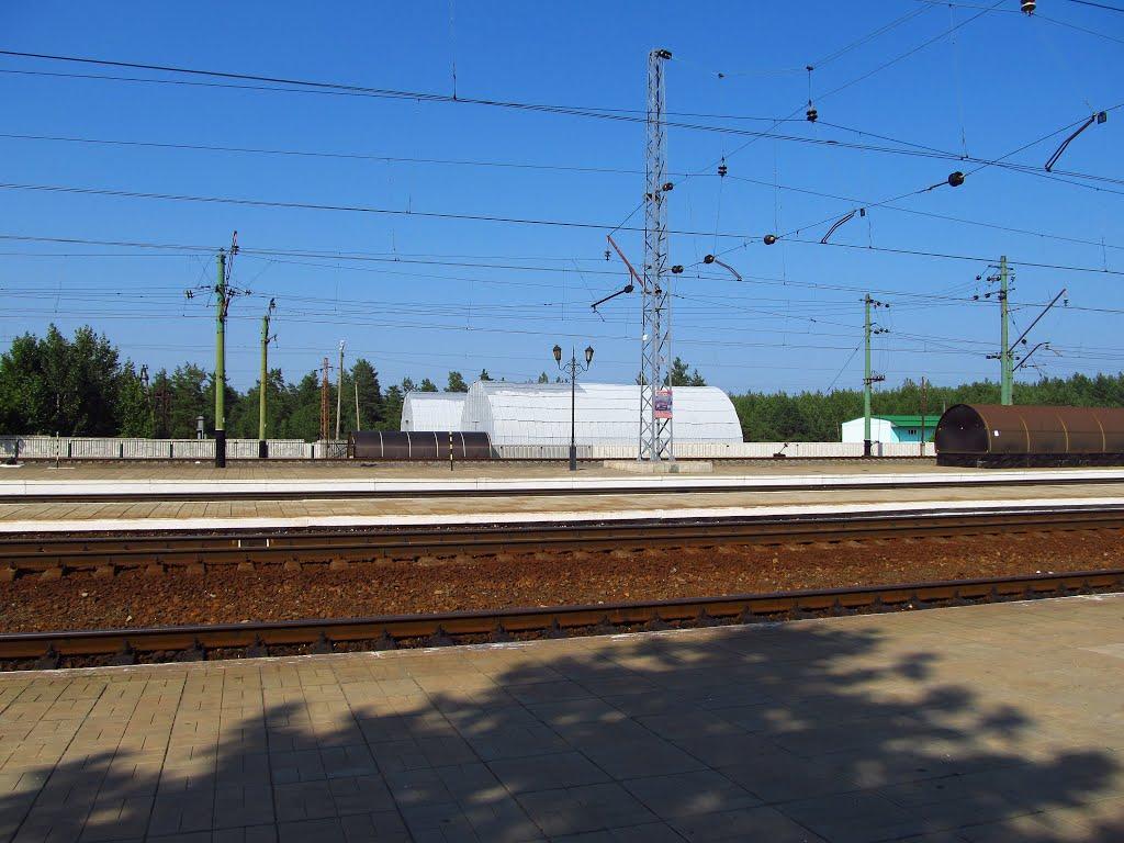 Святогірськ з panoramio.com - Святогорск
