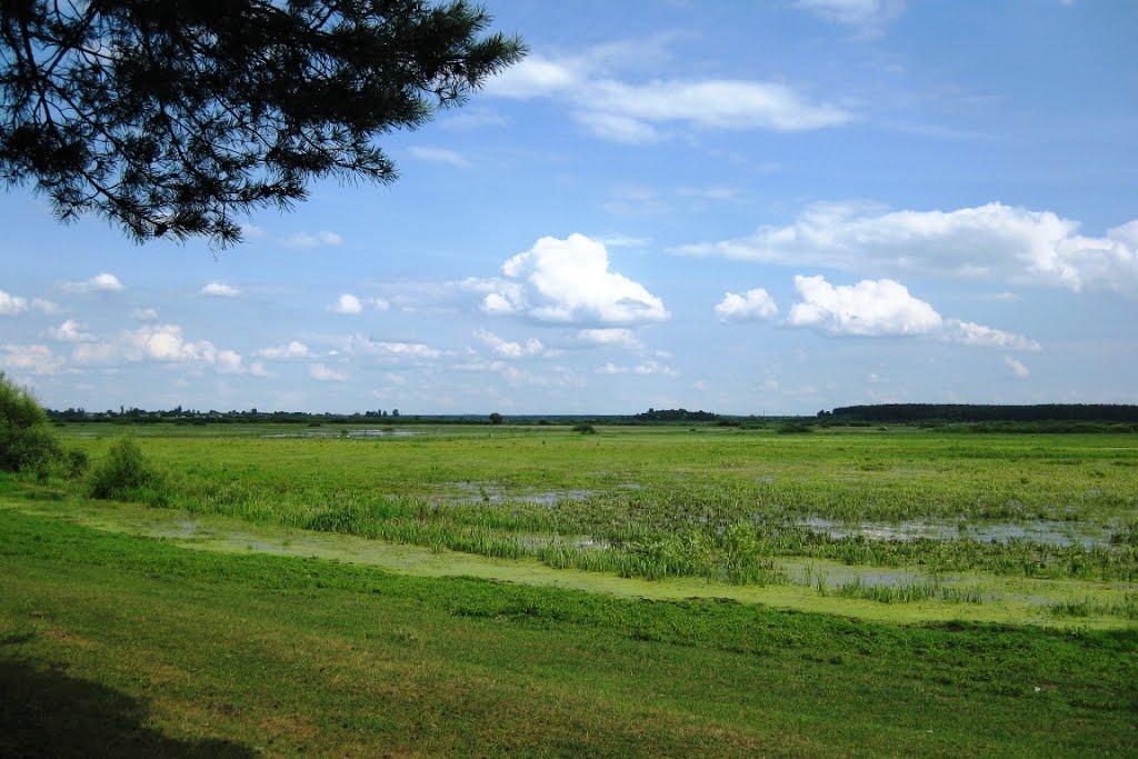 Сокіл з panoramio.com - Сокіл