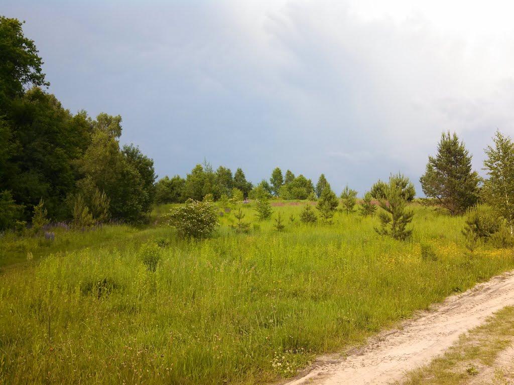 Ратищі з panoramio.com - Ратищі