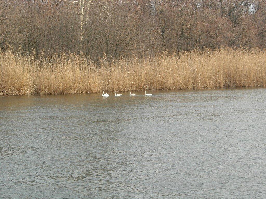 Райгородок з panoramio.com - Райгородок