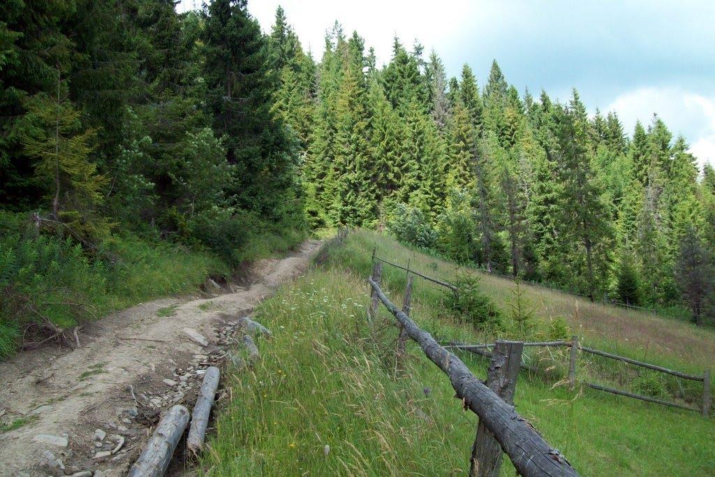 Лавочне з panoramio.com - Lavochne