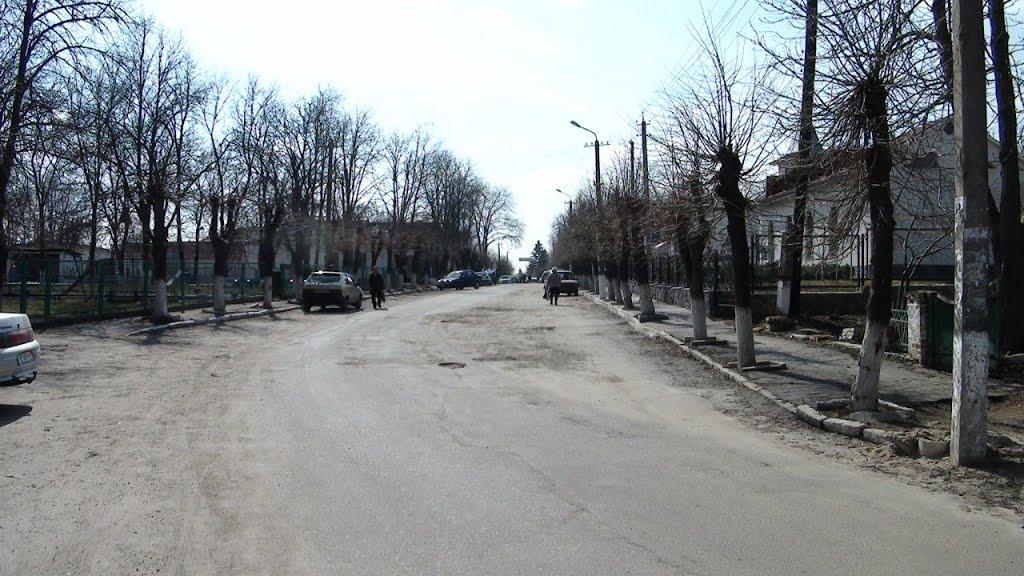Липовець з panoramio.com - Липовець