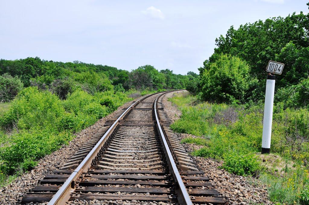 Лисе з panoramio.com - Лысое