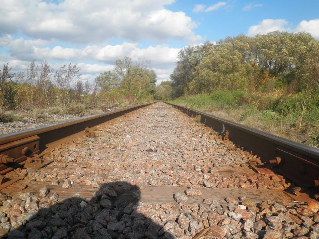 Плетенівка з panoramio.com - Pletenivka