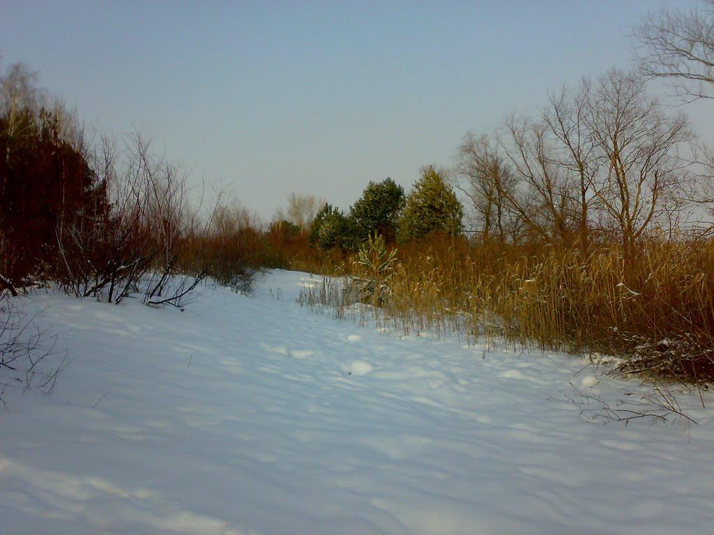 Українка з panoramio.com - Украинка
