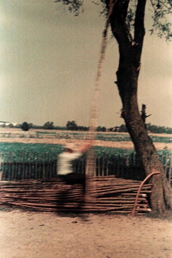 Шведчина з panoramio.com - Шведчина