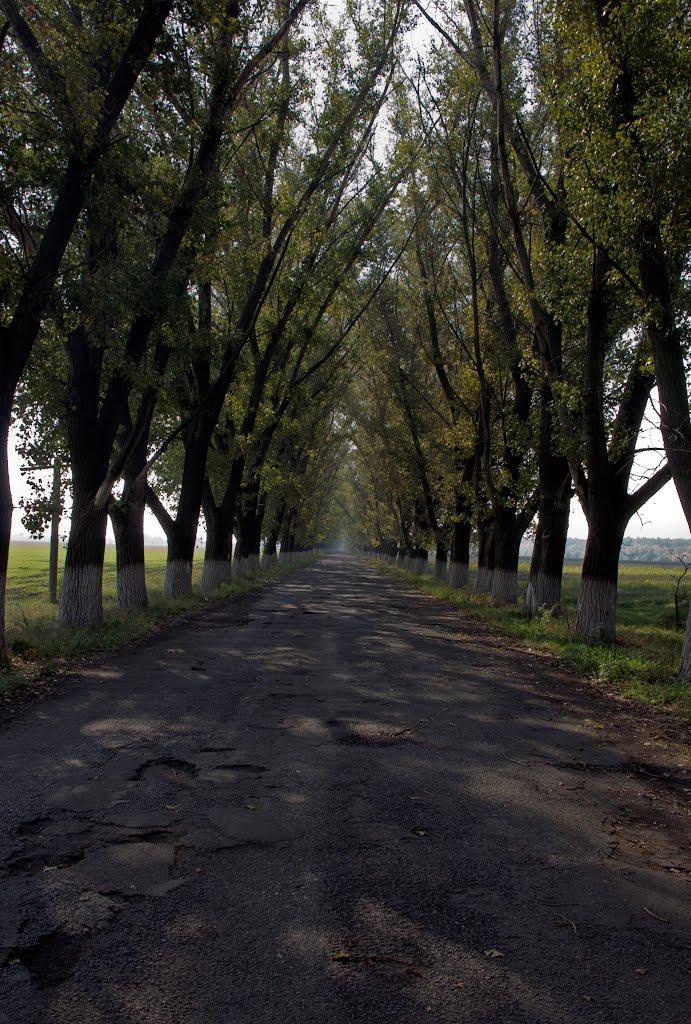 Веселе з panoramio.com - Веселе