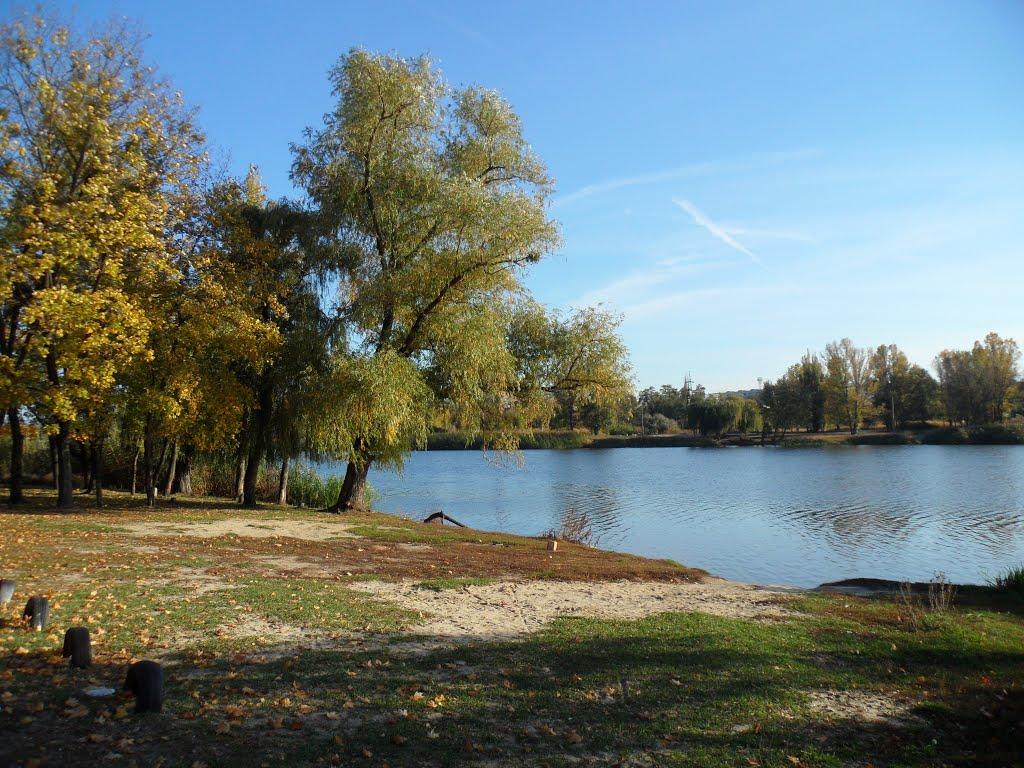 Покотилівка з panoramio.com - Покотилівка