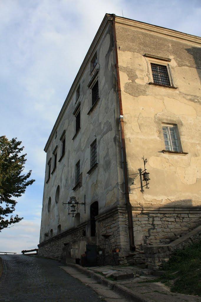 Олесько з panoramio.com - Olesko