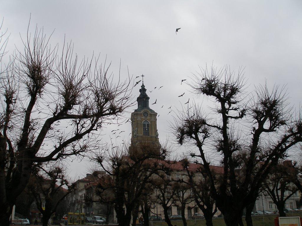 Нижанковичі з panoramio.com (ч.2) - Nyzhankovychi