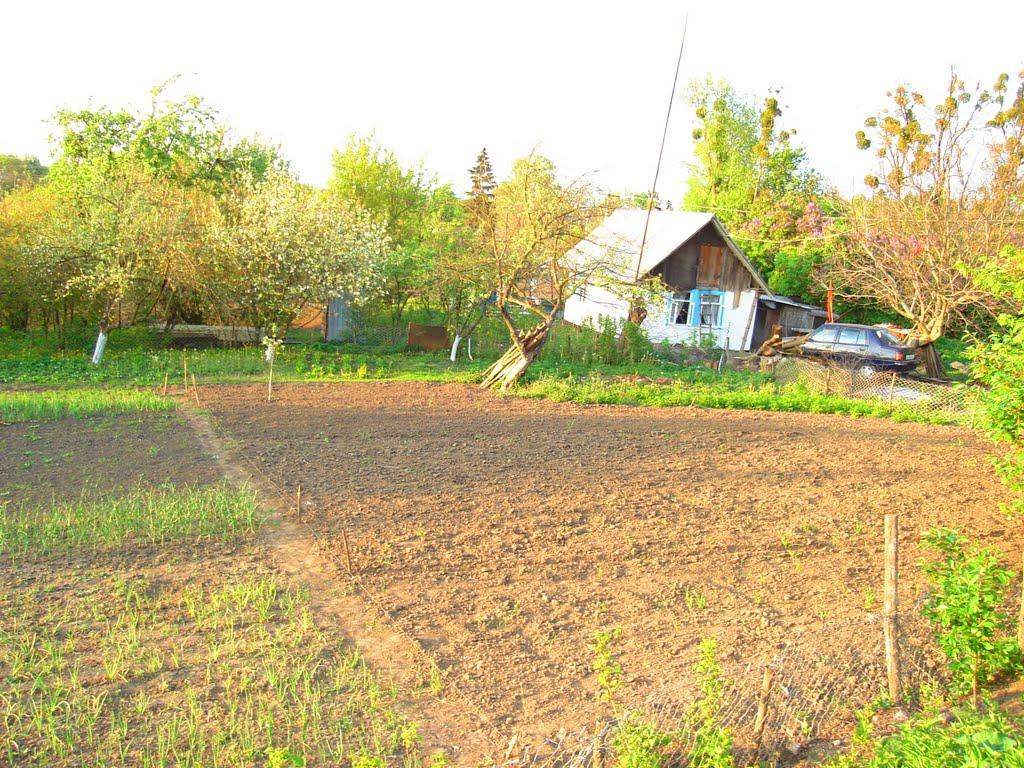 Гайворон з panoramio.com - Гайворон