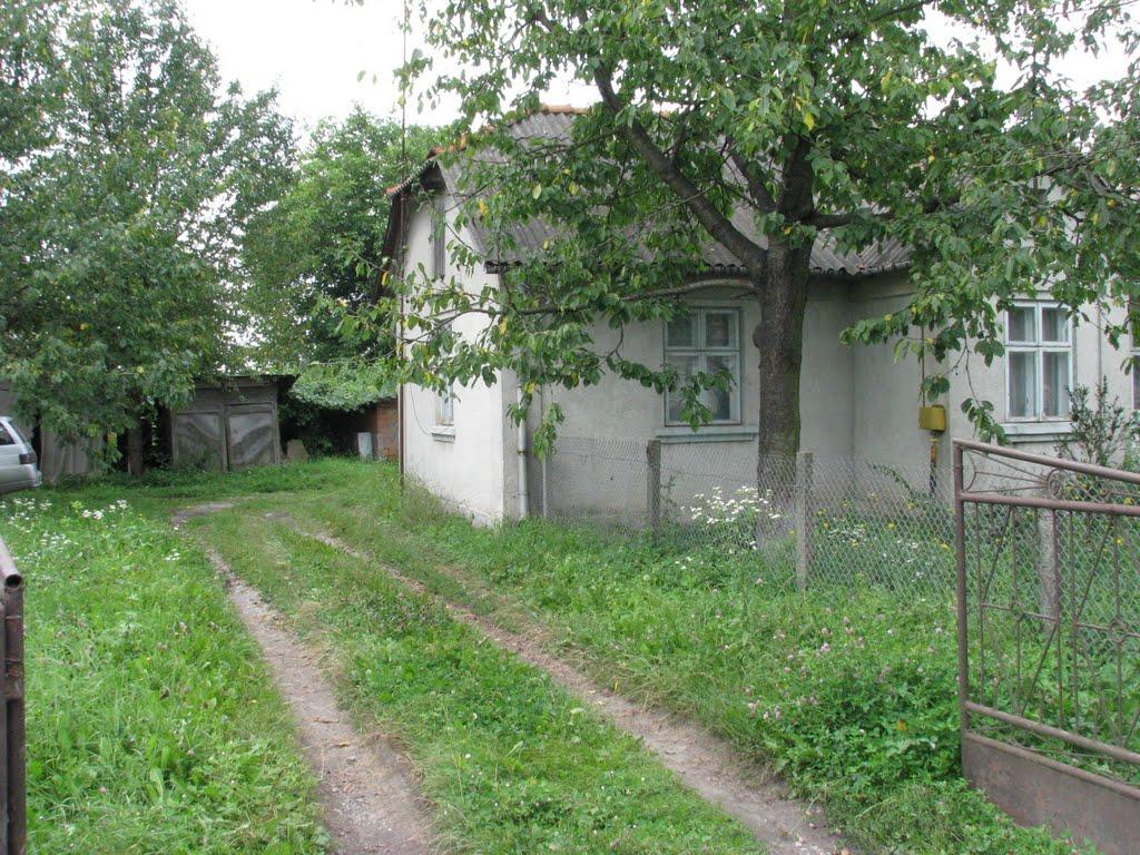 Оришківці з panoramio.com - Оришковцы
