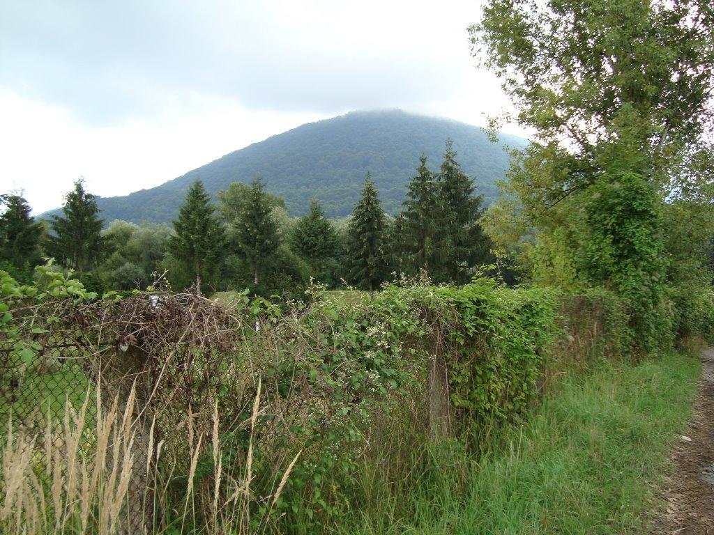 Тячів з panoramio.com - Тячев