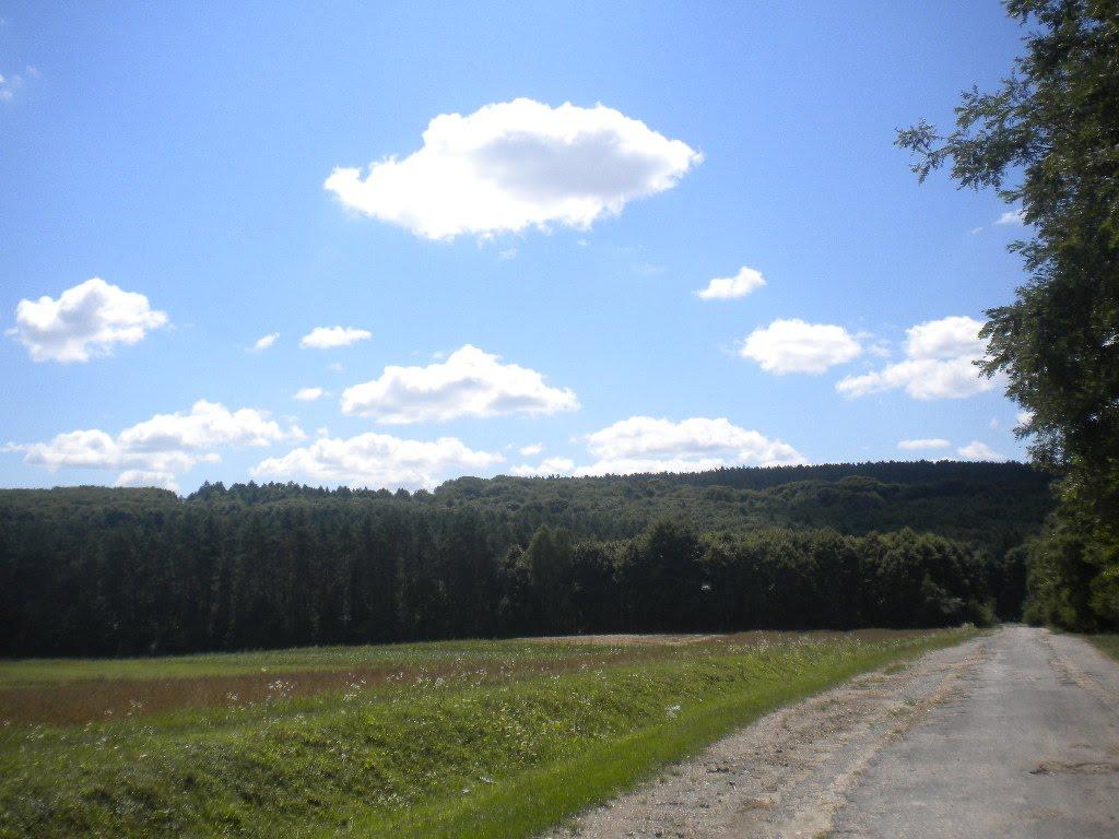 Лідихів з panoramio.com - Ледыхов