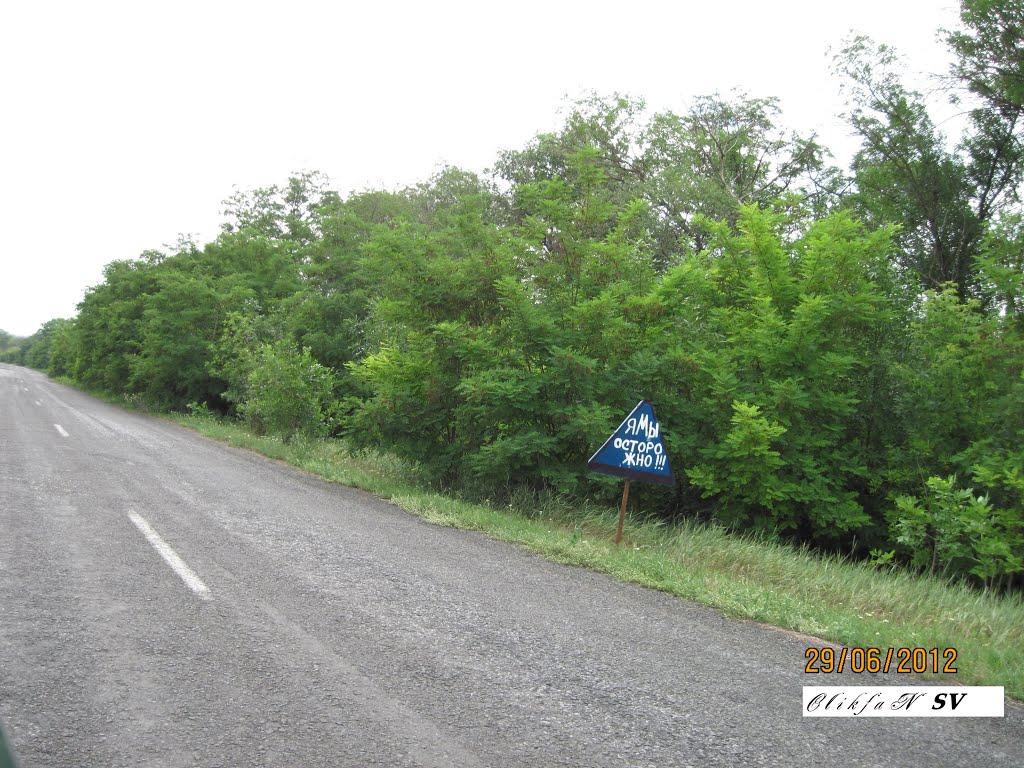 Новоіванівка з panoramio.com - Новоивановка