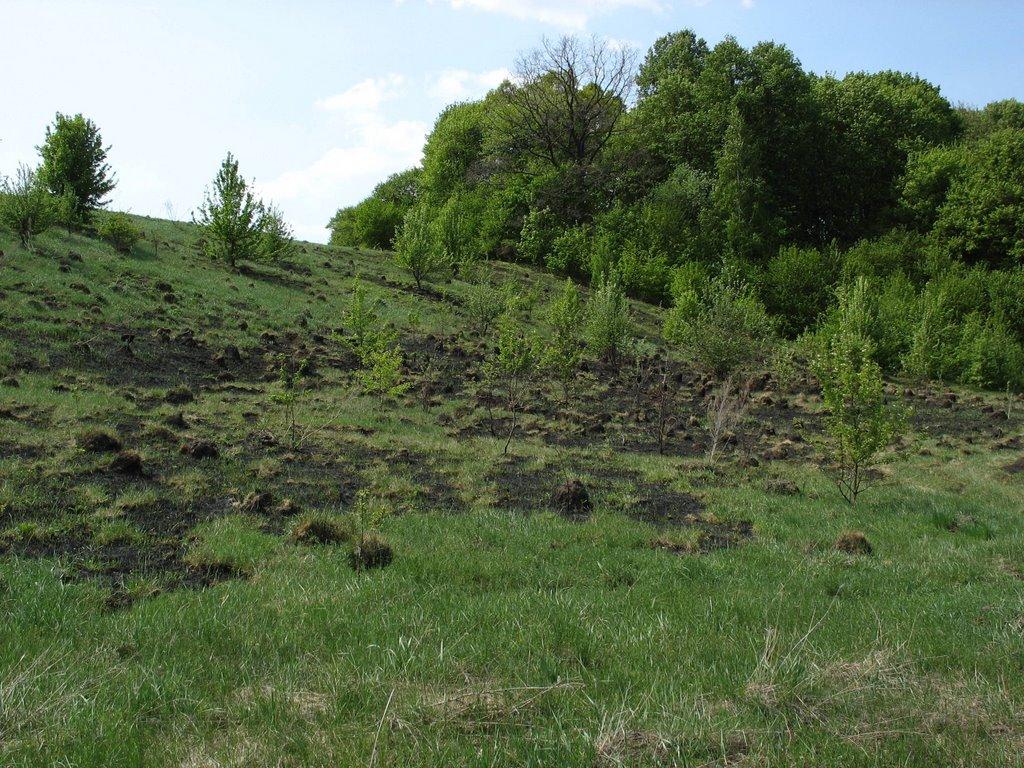 Середняки з panoramio.com - Середняки