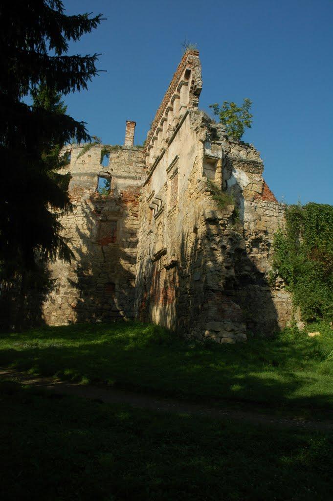 Бережани з panoramio.com - Бережаны