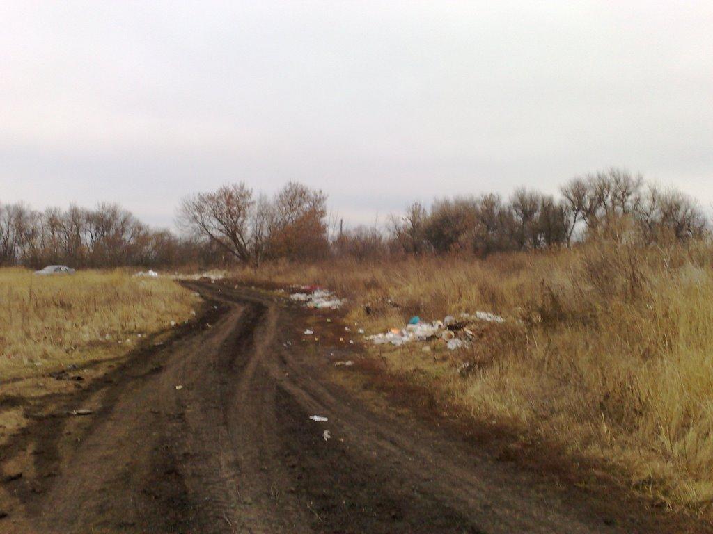 Плетенівка з panoramio.com - Pletenivka
