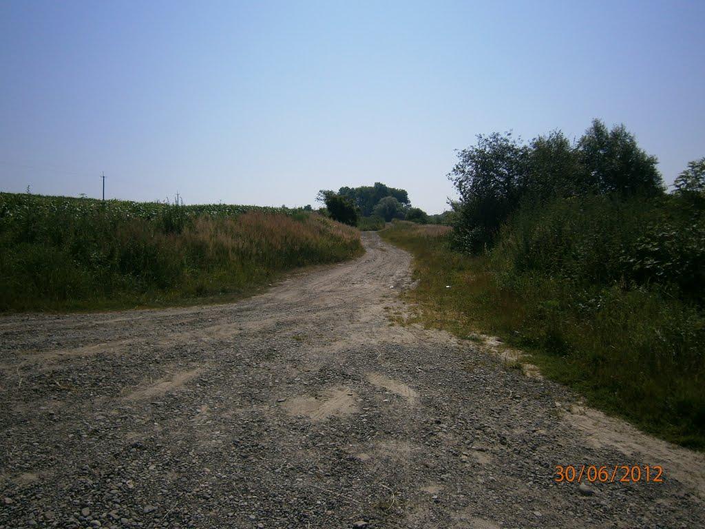Берездівці з panoramio.com - Berezdivtsi