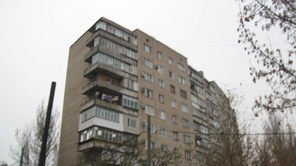 Мелітополь з panoramio.com (ч.2) - Мелитополь