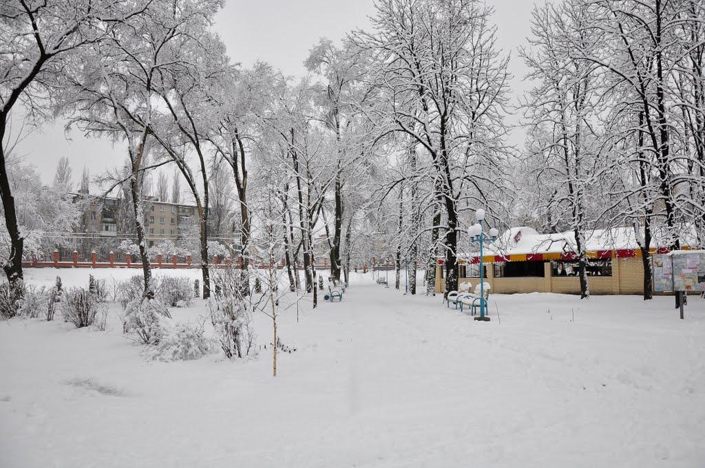 Новомосковськ з panoramio.com (ч.3) - Новомосковськ