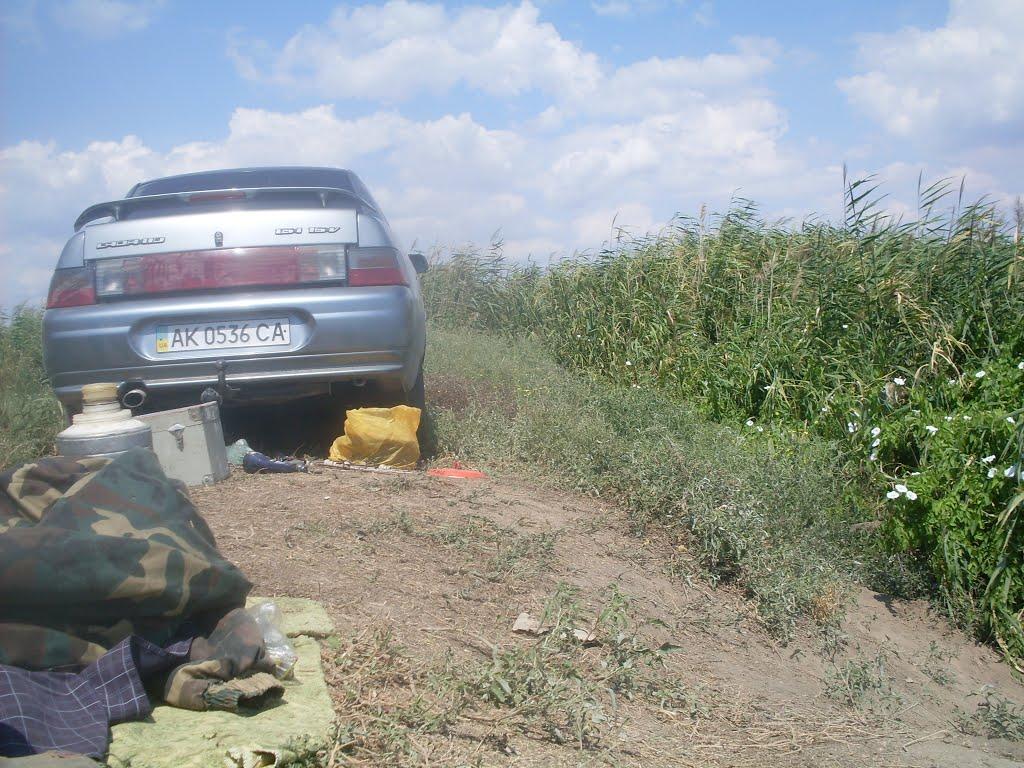 Рисове з panoramio.com - Рисовое