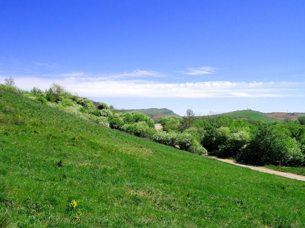 Селезнівка з panoramio.com - Селезневка