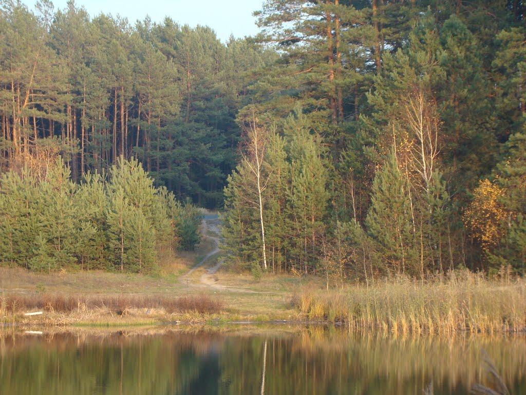 Паліївка з panoramio.com - Паліївка