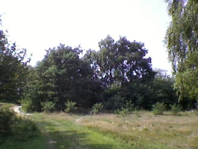 Селісок з panoramio.com - Селисок